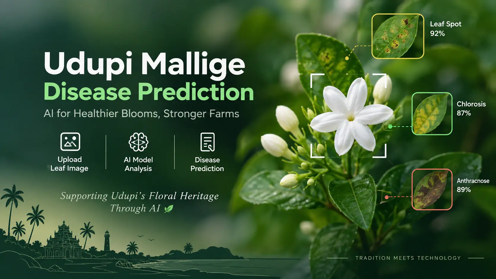 Udupi Mallige Disease Detection