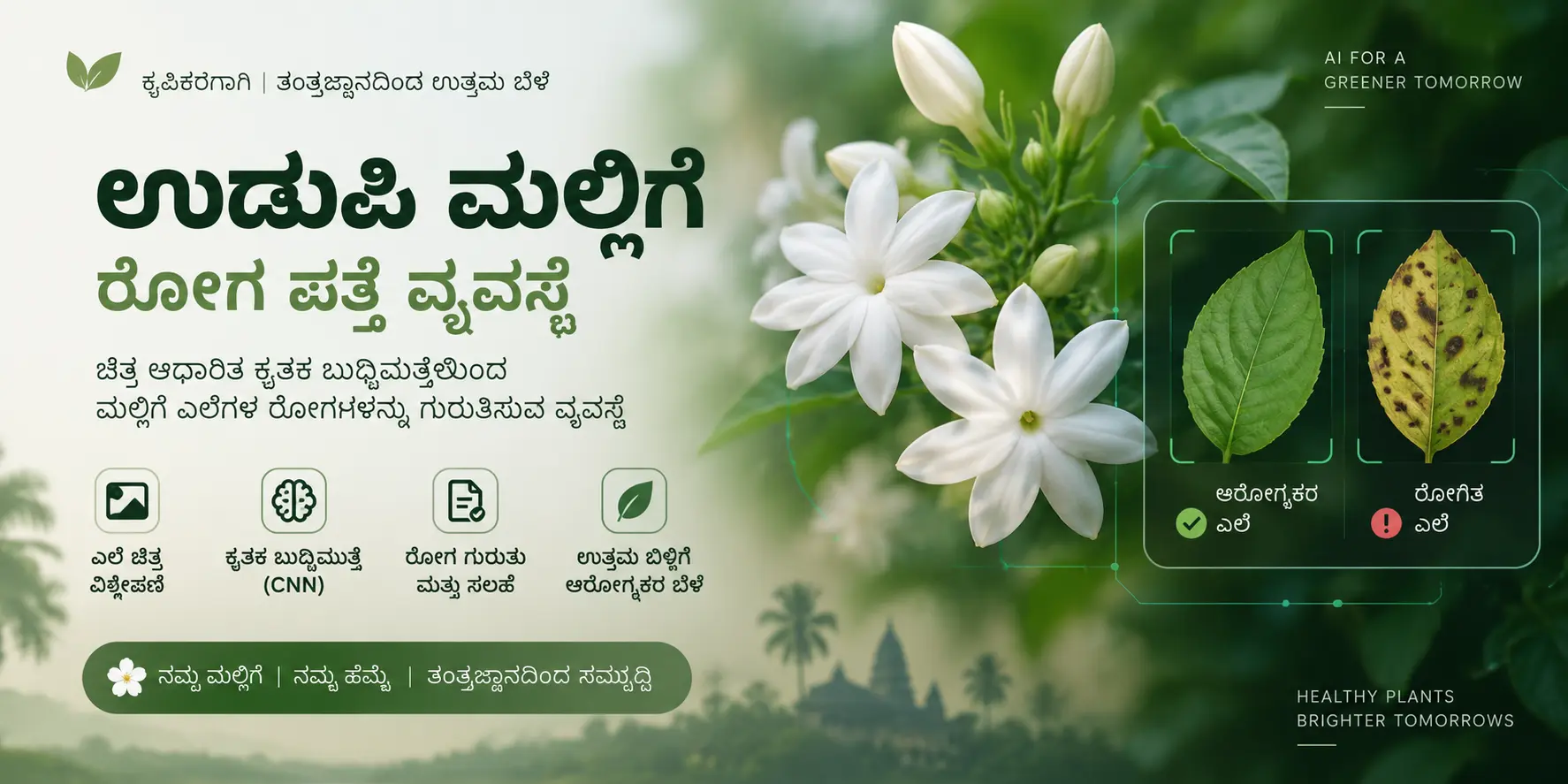 ಉಡುಪಿ ಮಲ್ಲಿಗೆ ರೋಗ ಪತ್ತೆ
